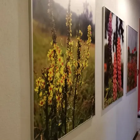 Dom Pod Wisnia * Kowale