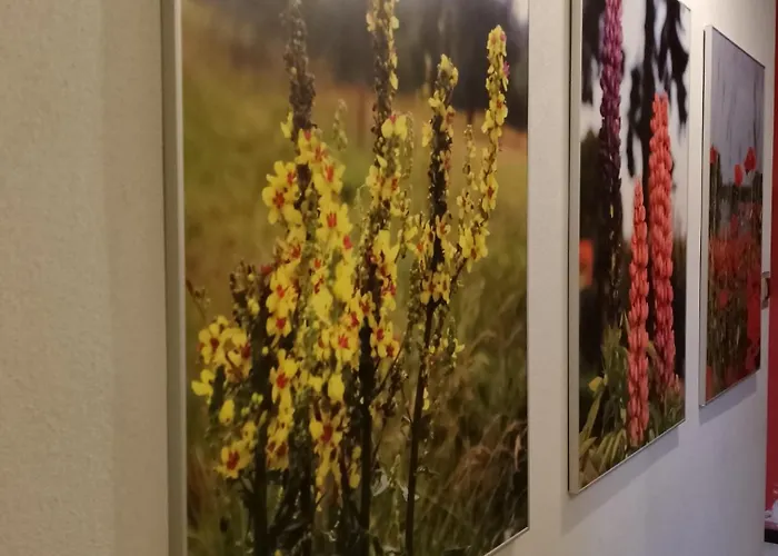 Dom Pod Wisnia * Kowale (Gdansk)